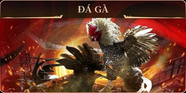 Hướng Dẫn Cách Chơi Đá Gà GA28 Tại GO88 Từ A Đến Z Cho Kê Thủ