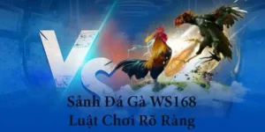 Bí Kíp Chơi Đá Gà WS168 Tại GO88 Từ Cao Thủ Lão Làng