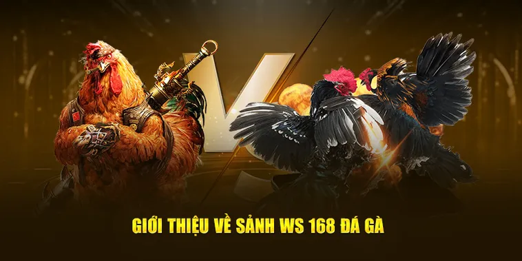 Bí Kíp Chơi Đá Gà WS168 Tại GO88 Từ Cao Thủ Lão Làng