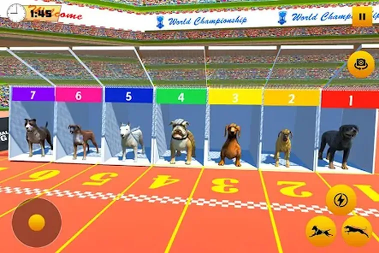 Chiến Thuật Chơi Game Nhanh Đua Chó Tại GO88 Từ Cao Thủ