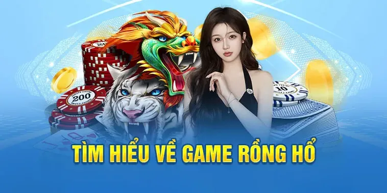 Dragon Tiger Tại GO88 Trò Chơi Tốc Độ Và Đẳng Cấp Châu Á