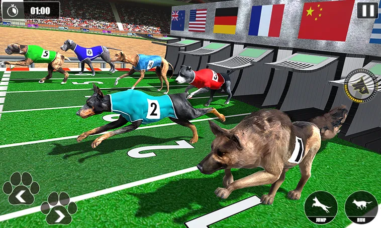 Chiến Thuật Chơi Game Nhanh Đua Chó Tại GO88 Từ Cao Thủ